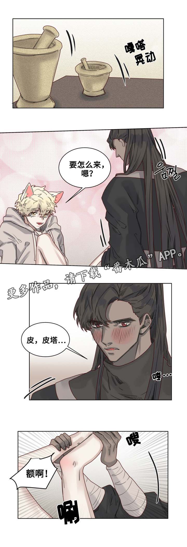 《魔法师皮塔》漫画最新章节第10章套装后遗症免费下拉式在线观看章节第【4】张图片