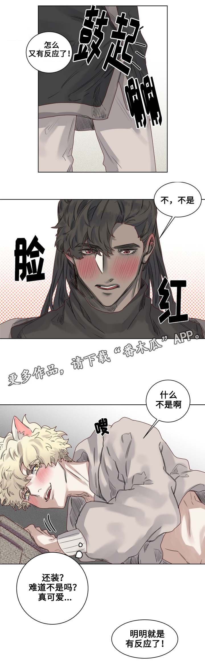 《魔法师皮塔》漫画最新章节第10章套装后遗症免费下拉式在线观看章节第【6】张图片