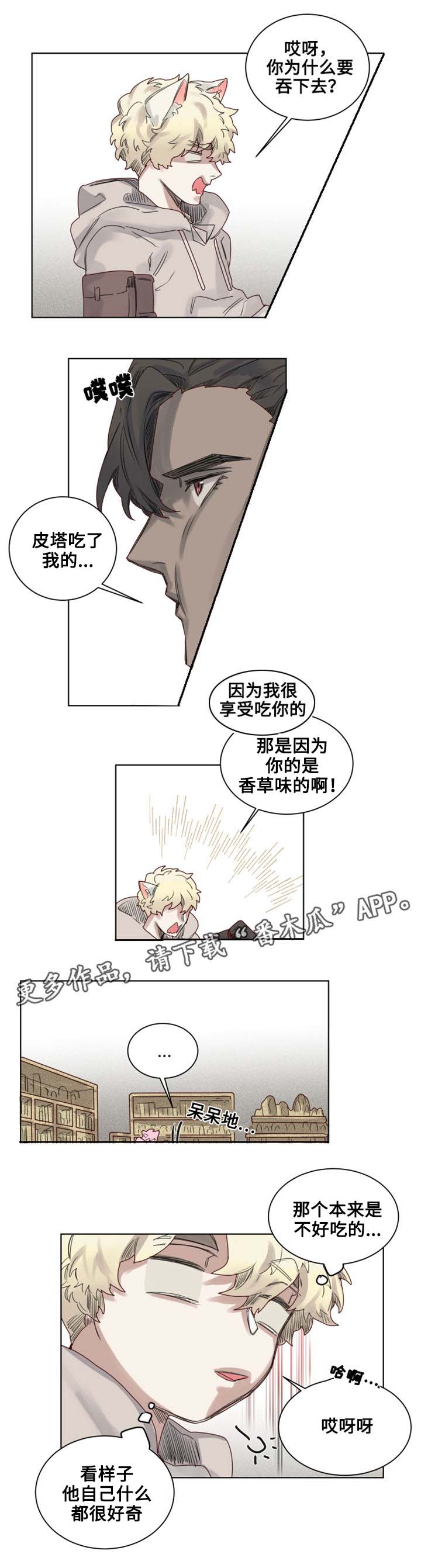 《魔法师皮塔》漫画最新章节第11章过分的委托免费下拉式在线观看章节第【9】张图片