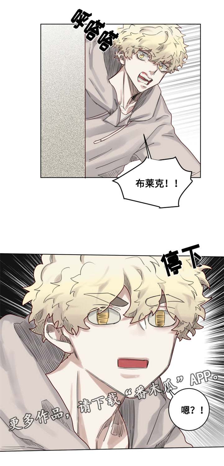 《魔法师皮塔》漫画最新章节第15章国立图书馆免费下拉式在线观看章节第【1】张图片