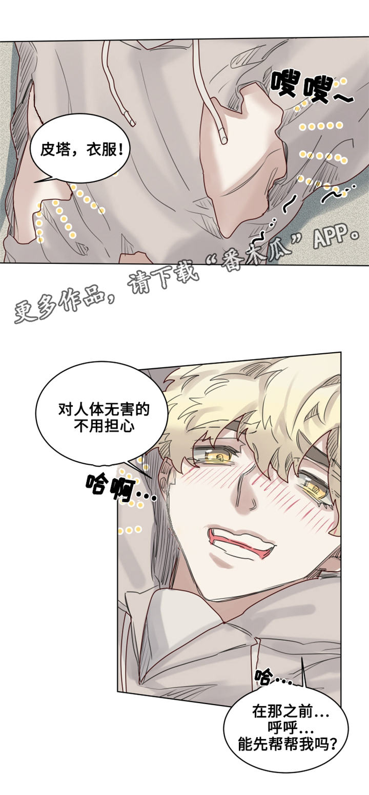 《魔法师皮塔》漫画最新章节第19章失控的玩具免费下拉式在线观看章节第【7】张图片