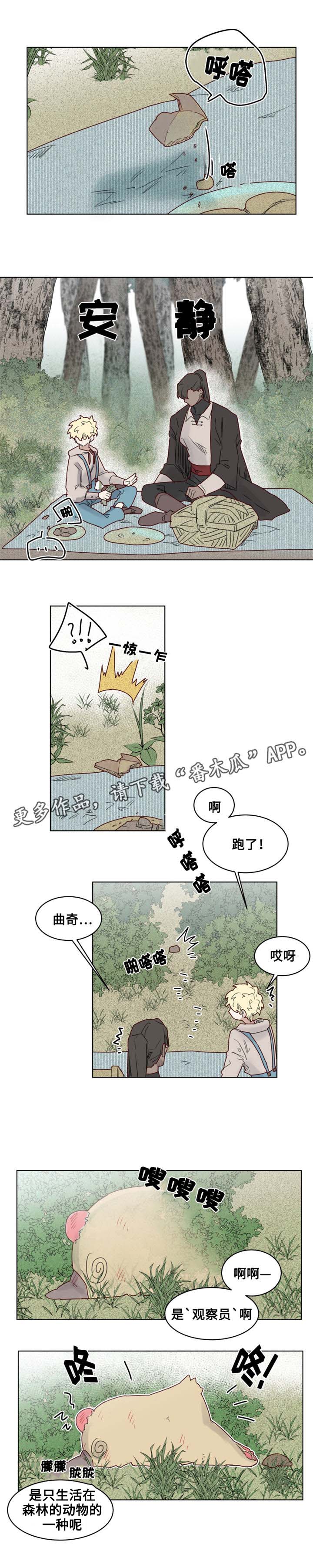 《魔法师皮塔》漫画最新章节第20章观察者免费下拉式在线观看章节第【10】张图片