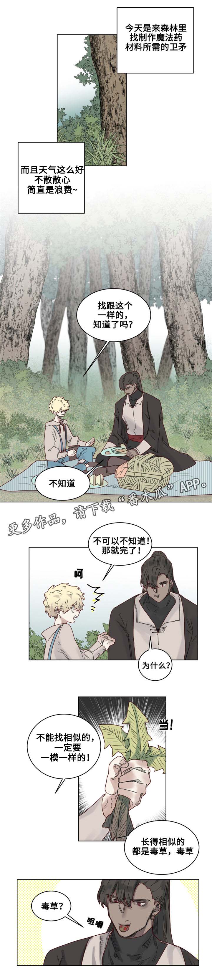 《魔法师皮塔》漫画最新章节第20章观察者免费下拉式在线观看章节第【12】张图片