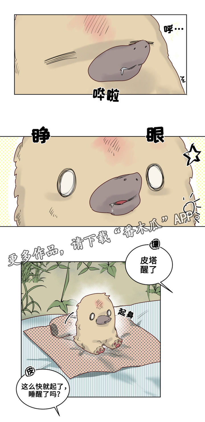 《魔法师皮塔》漫画最新章节第20章观察者免费下拉式在线观看章节第【9】张图片