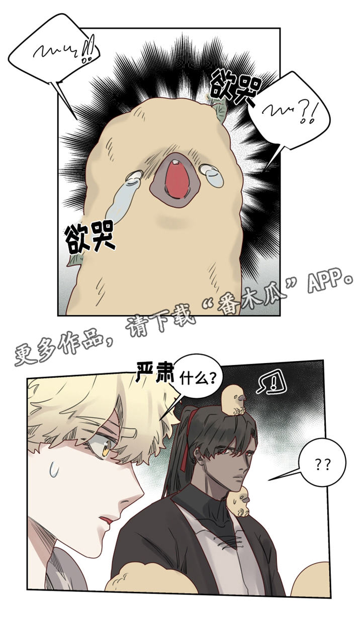 《魔法师皮塔》漫画最新章节第20章观察者免费下拉式在线观看章节第【1】张图片