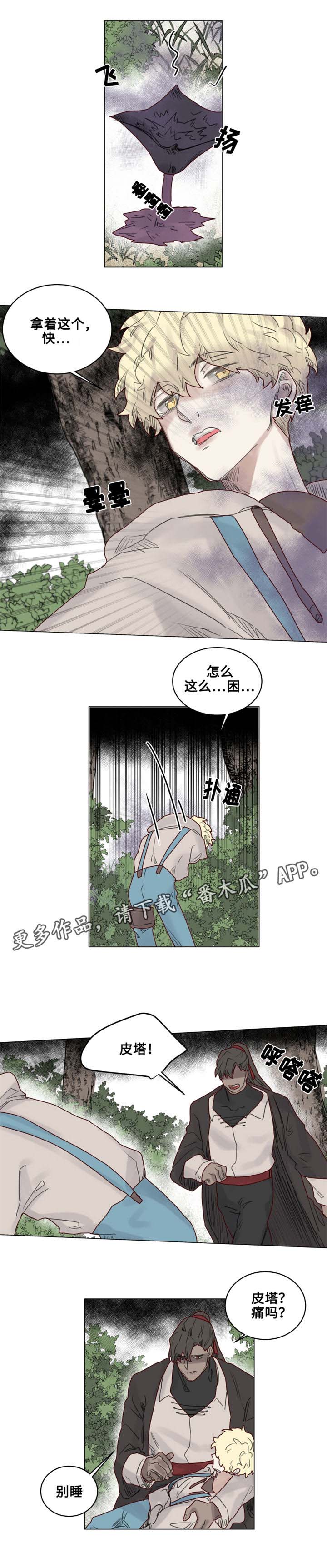 《魔法师皮塔》漫画最新章节第21章陌生的毒花免费下拉式在线观看章节第【2】张图片