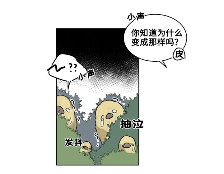 《魔法师皮塔》漫画最新章节第21章陌生的毒花免费下拉式在线观看章节第【8】张图片