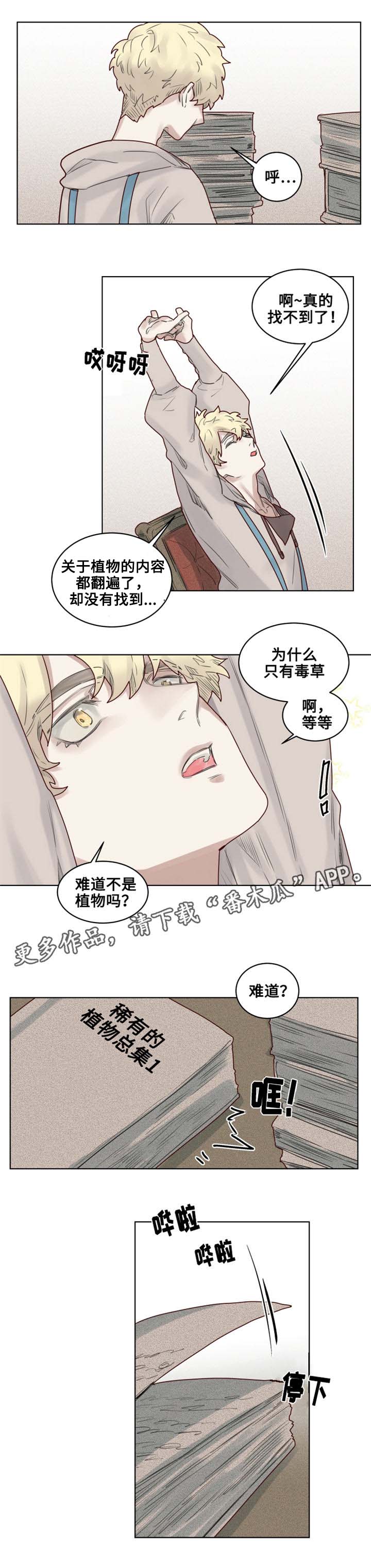 《魔法师皮塔》漫画最新章节第24章危机四伏免费下拉式在线观看章节第【3】张图片