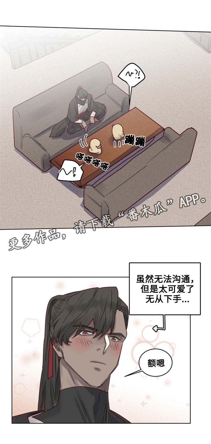 《魔法师皮塔》漫画最新章节第24章危机四伏免费下拉式在线观看章节第【8】张图片