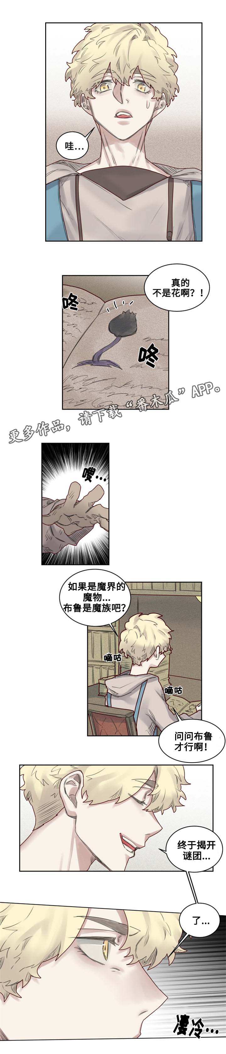 《魔法师皮塔》漫画最新章节第24章危机四伏免费下拉式在线观看章节第【2】张图片