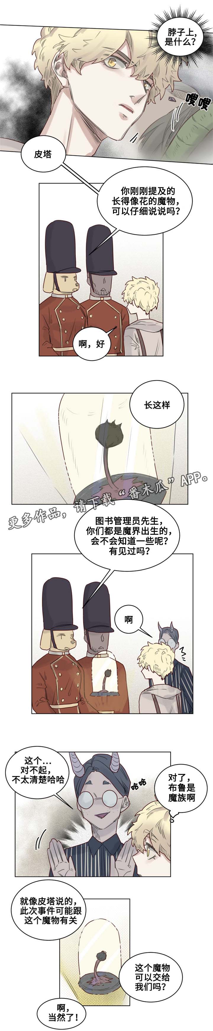 《魔法师皮塔》漫画最新章节第26章德米安被绑架免费下拉式在线观看章节第【10】张图片