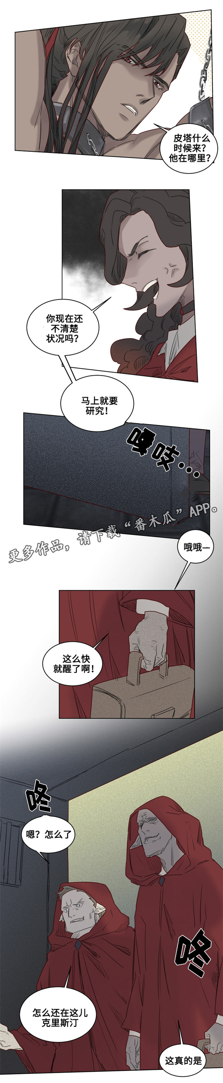 《魔法师皮塔》漫画最新章节第27章‘红色塔’组织免费下拉式在线观看章节第【10】张图片