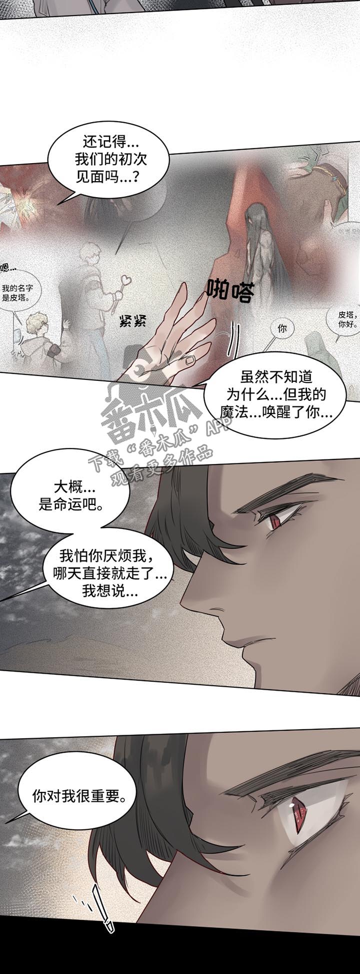 《魔法师皮塔》漫画最新章节第29章你对我很重要免费下拉式在线观看章节第【3】张图片