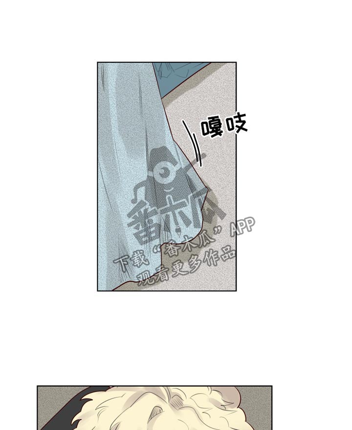 《魔法师皮塔》漫画最新章节第30章清醒免费下拉式在线观看章节第【6】张图片