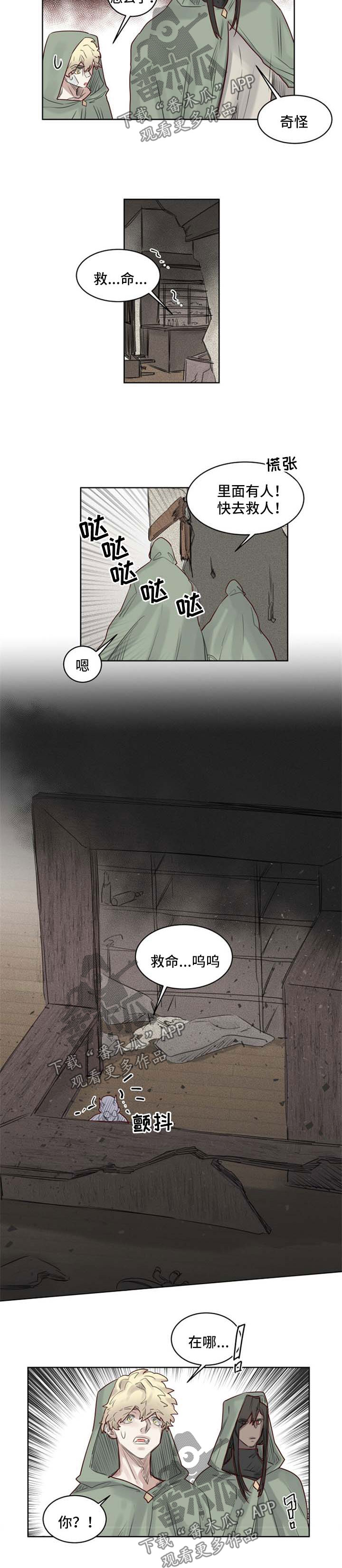 《魔法师皮塔》漫画最新章节第36章入套免费下拉式在线观看章节第【6】张图片