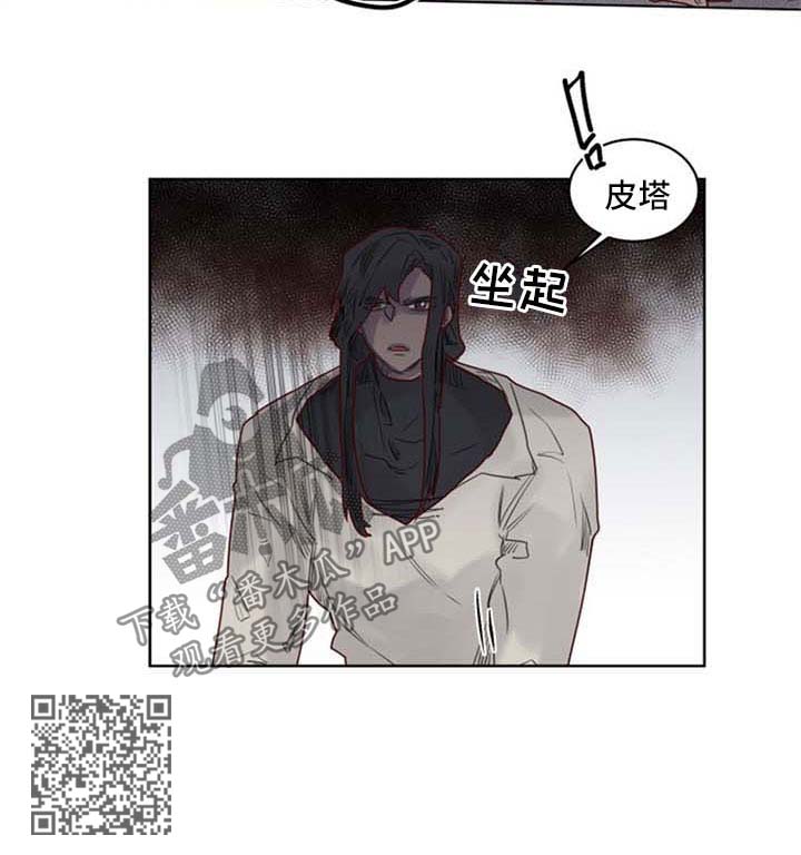 《魔法师皮塔》漫画最新章节第37章暗算免费下拉式在线观看章节第【1】张图片