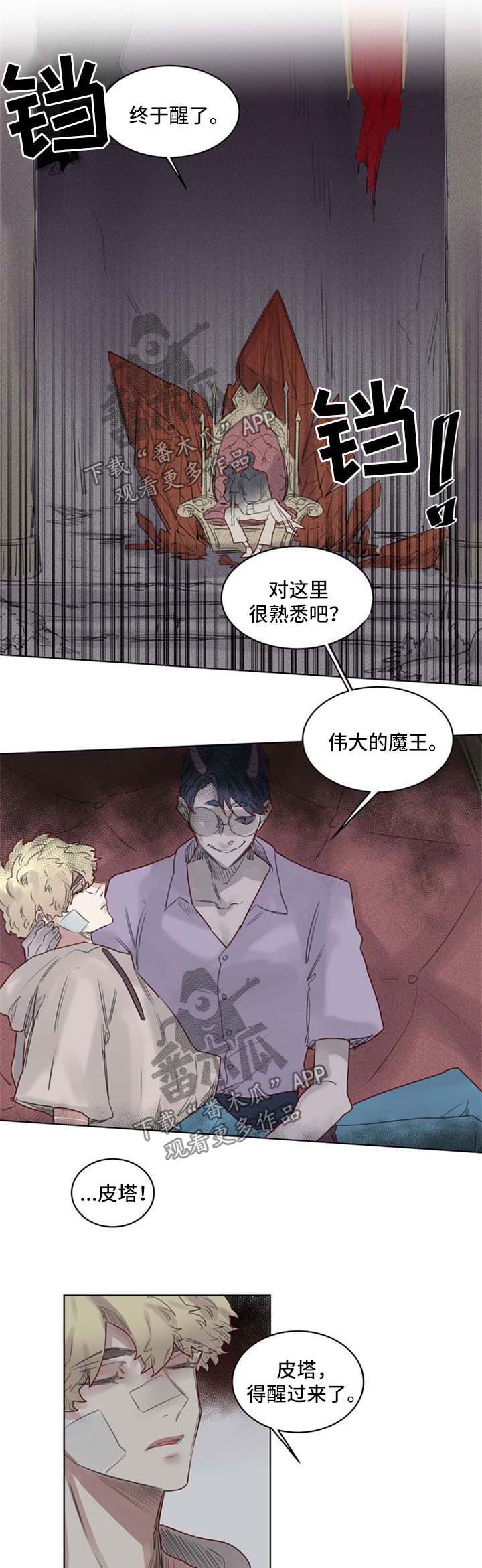 《魔法师皮塔》漫画最新章节第38章代价免费下拉式在线观看章节第【7】张图片