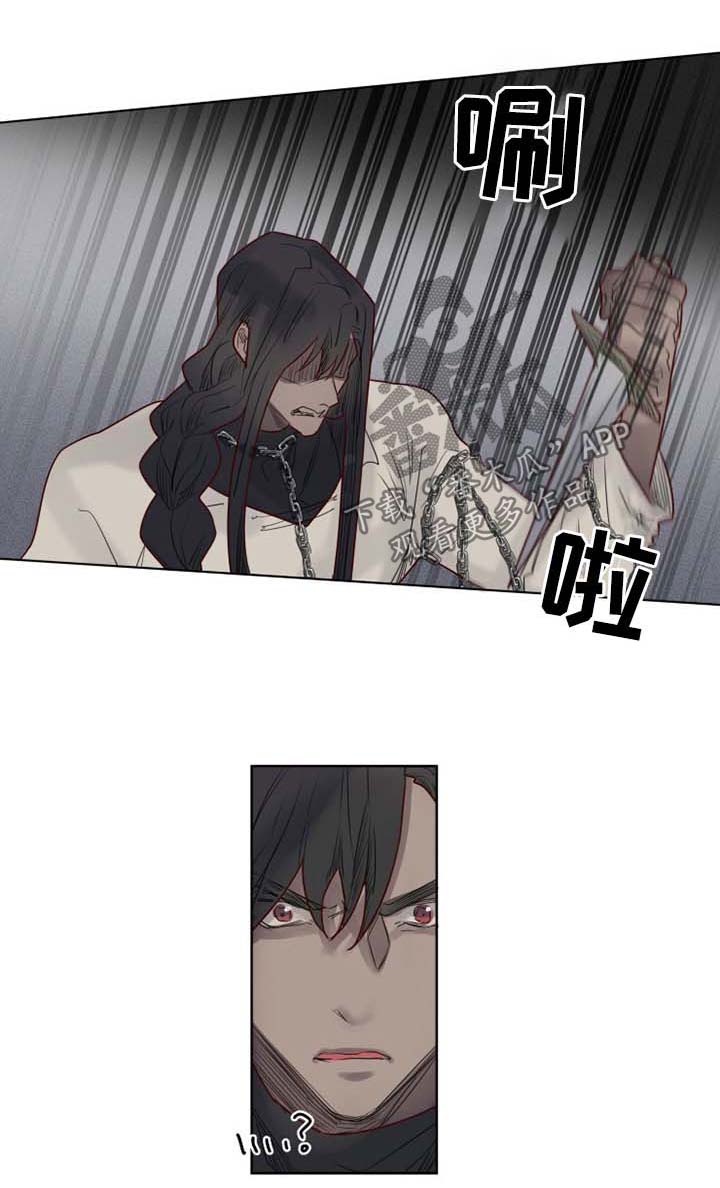 《魔法师皮塔》漫画最新章节第40章复仇免费下拉式在线观看章节第【7】张图片