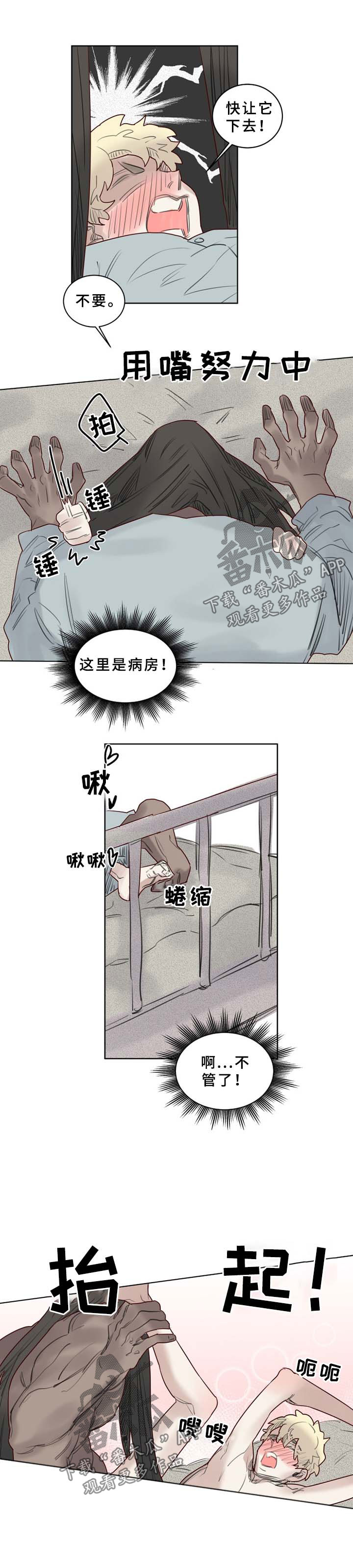 《魔法师皮塔》漫画最新章节第44章继续免费下拉式在线观看章节第【6】张图片