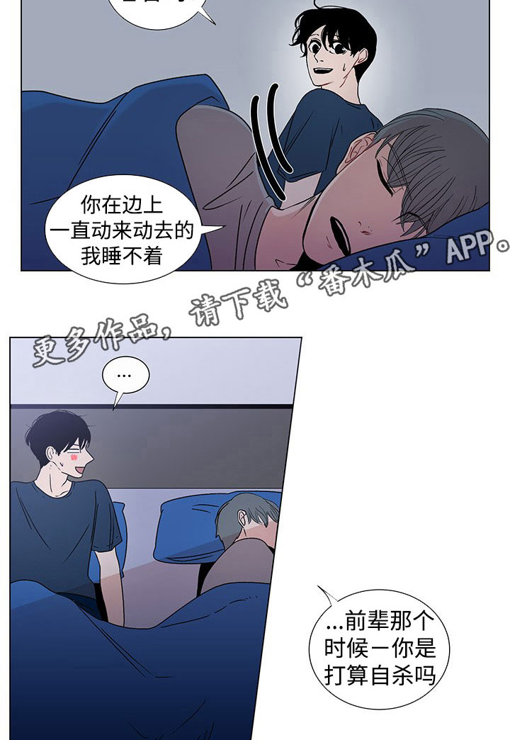 《商谈》漫画最新章节第38章特别的存在免费下拉式在线观看章节第【17】张图片