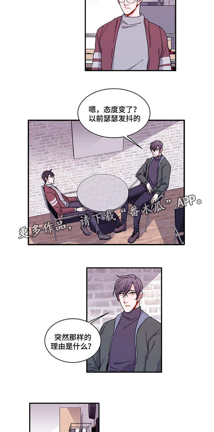 《连锁效应》漫画最新章节第32章最后一次免费下拉式在线观看章节第【11】张图片