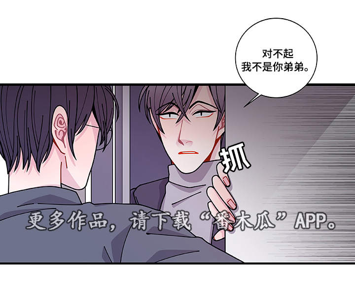 《连锁效应》漫画最新章节第29章世界上的唯一免费下拉式在线观看章节第【1】张图片