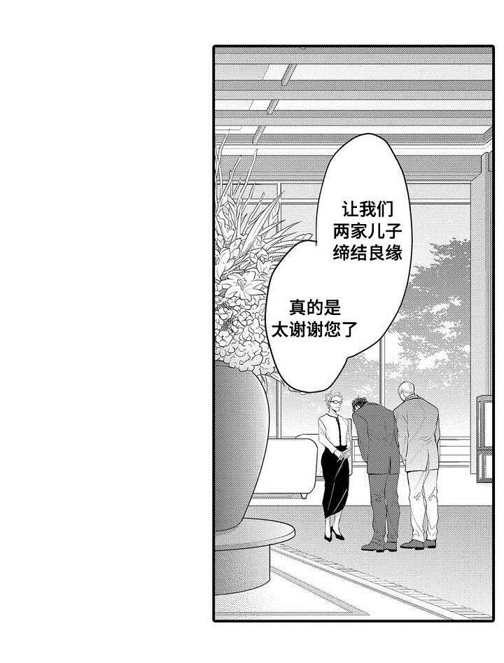 《全新身份》漫画最新章节第1章结婚免费下拉式在线观看章节第【10】张图片