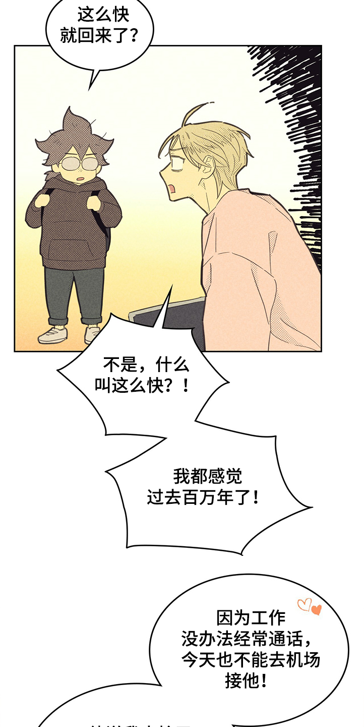 《内或外》漫画最新章节第162章【第三季】又被嫌弃免费下拉式在线观看章节第【17】张图片