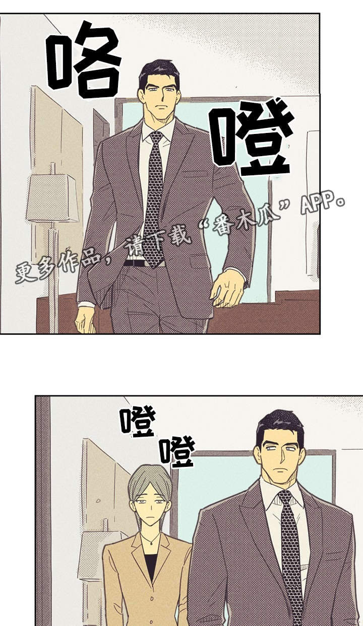 《内或外》漫画最新章节第34章普洱茶免费下拉式在线观看章节第【41】张图片