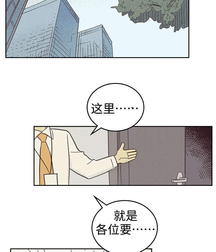 《内或外》漫画最新章节第27章办公室免费下拉式在线观看章节第【4】张图片