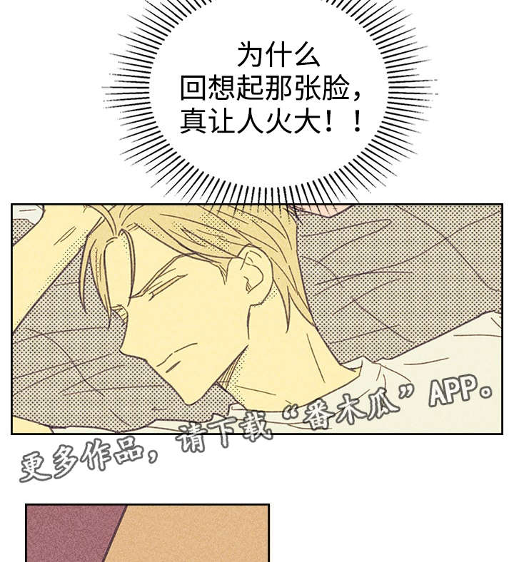 《内或外》漫画最新章节第17章青春太肤浅免费下拉式在线观看章节第【11】张图片