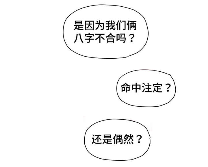 第65章命中注定？3