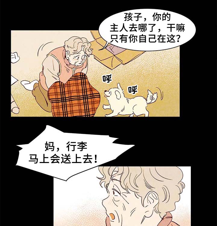 第40章老幺的故事14