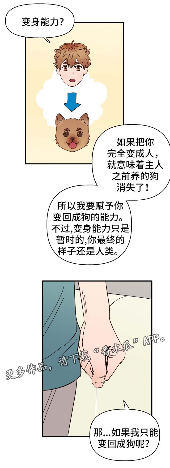 【爱宠攻略】漫画-（第34章隐晦）章节漫画下拉式图片-6.jpg