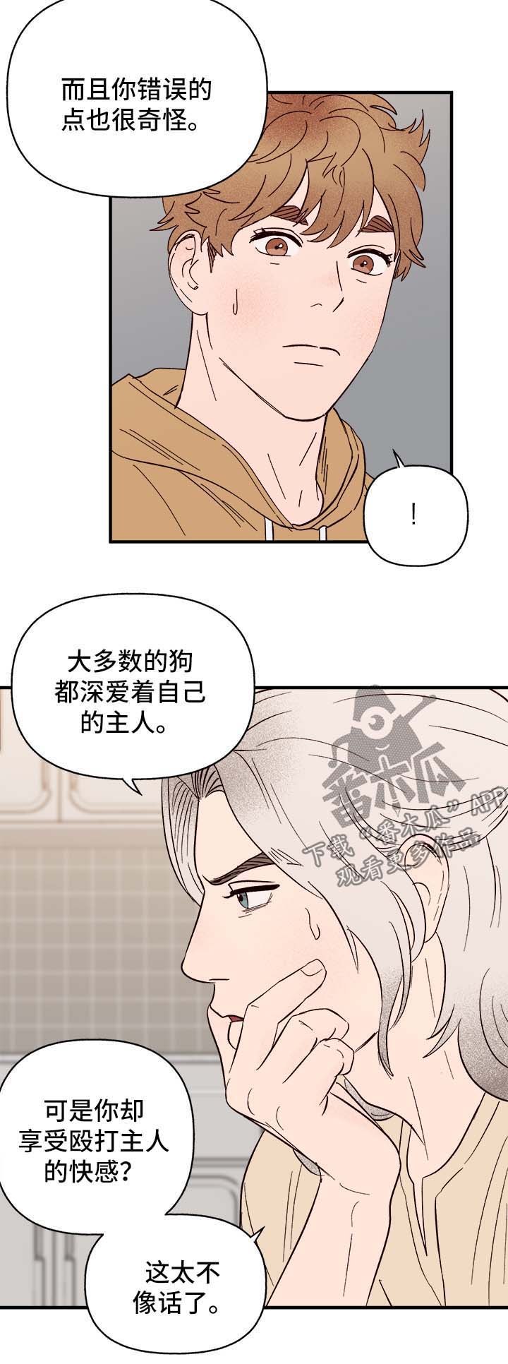 【爱宠攻略】漫画-（第37章忠告）章节漫画下拉式图片-第15张图片