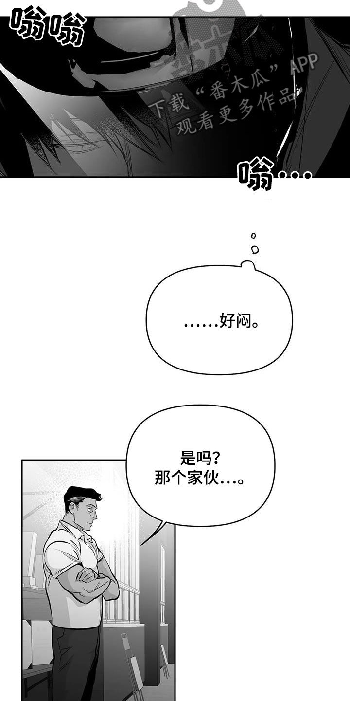 【拳击手】漫画-（第164章【第三季】砸场子）章节漫画下拉式图片-4.jpg