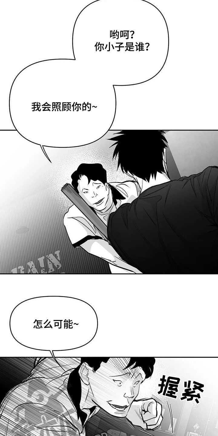 【拳击手】漫画-（第164章【第三季】砸场子）章节漫画下拉式图片-21.jpg