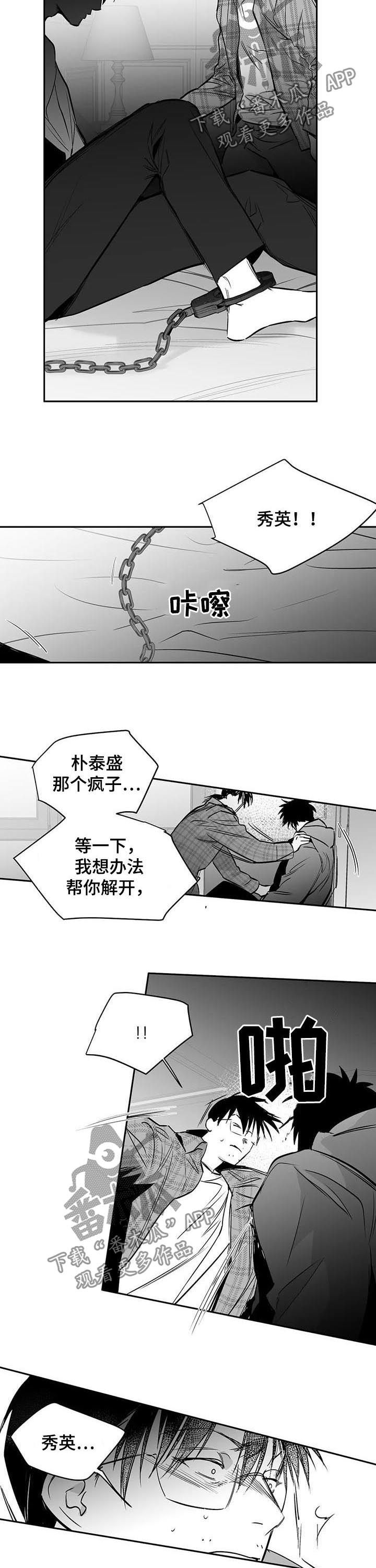 【拳击手】漫画-（第130章【第二季】消灭混混）章节漫画下拉式图片-7.jpg