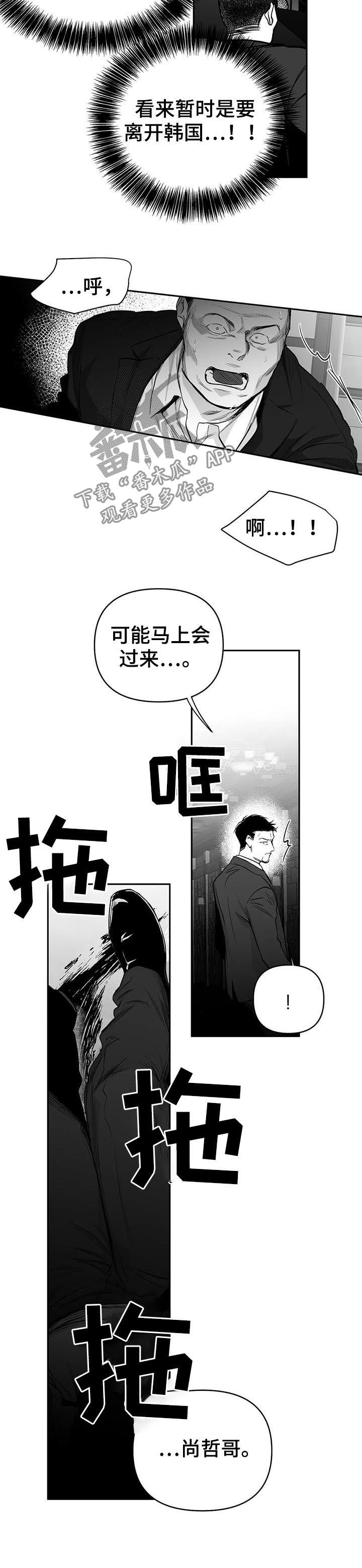 【拳击手】漫画-（第87章我来接你（第一季完结））章节漫画下拉式图片-8.jpg