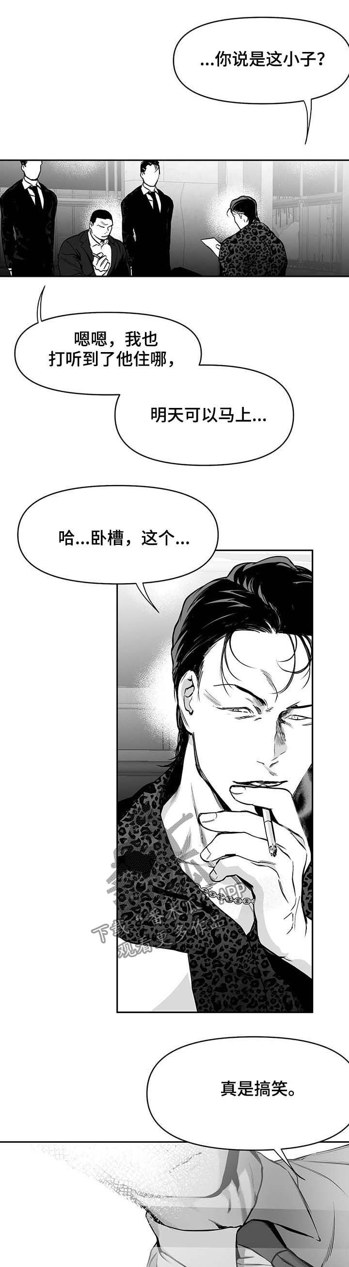 【拳击手】漫画-（第75章动向奇怪）章节漫画下拉式图片-10.jpg