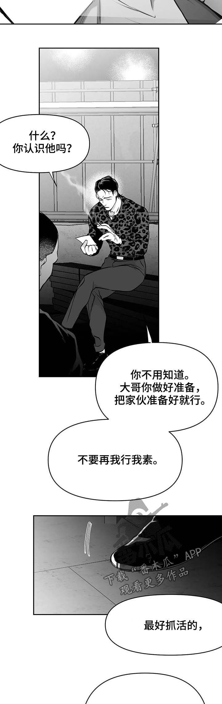 【拳击手】漫画-（第75章动向奇怪）章节漫画下拉式图片-11.jpg