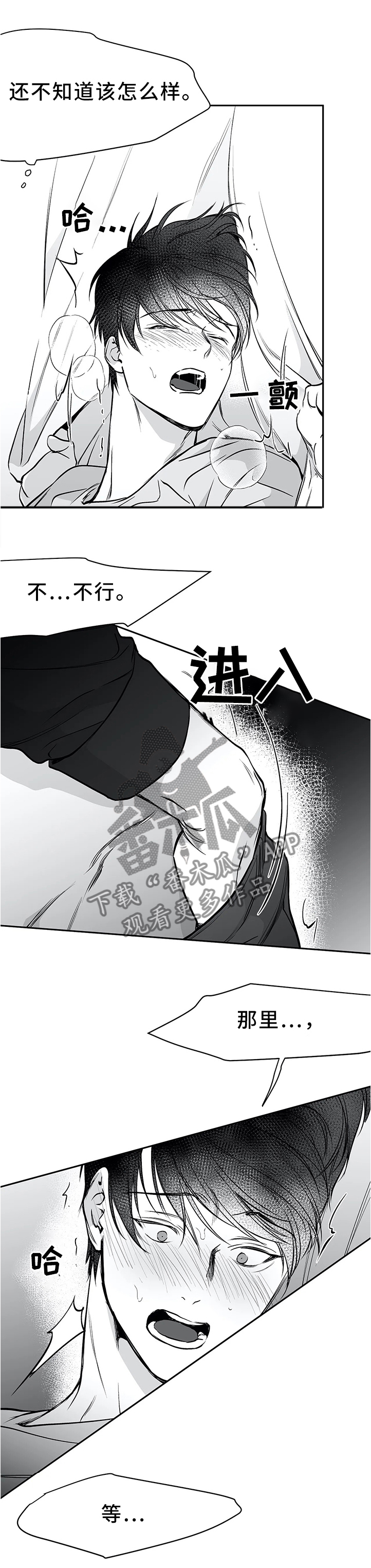 【拳击手】漫画-（第57章如你所愿）章节漫画下拉式图片-1.jpg