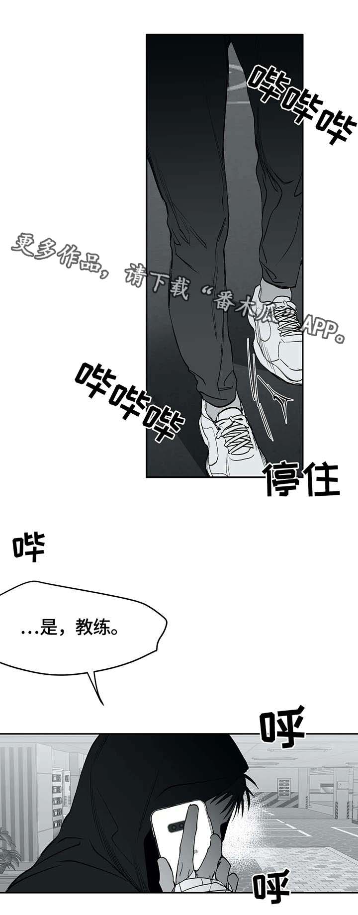 【拳击手】漫画-（第29章发泄）章节漫画下拉式图片-11.jpg