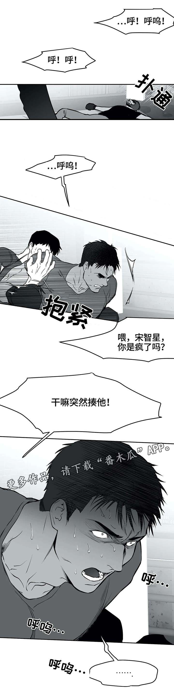 【拳击手】漫画-（第29章发泄）章节漫画下拉式图片-3.jpg
