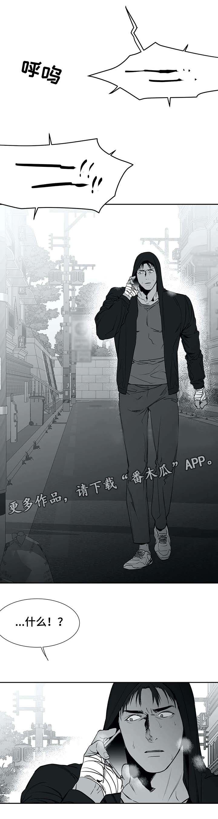 【拳击手】漫画-（第29章发泄）章节漫画下拉式图片-12.jpg