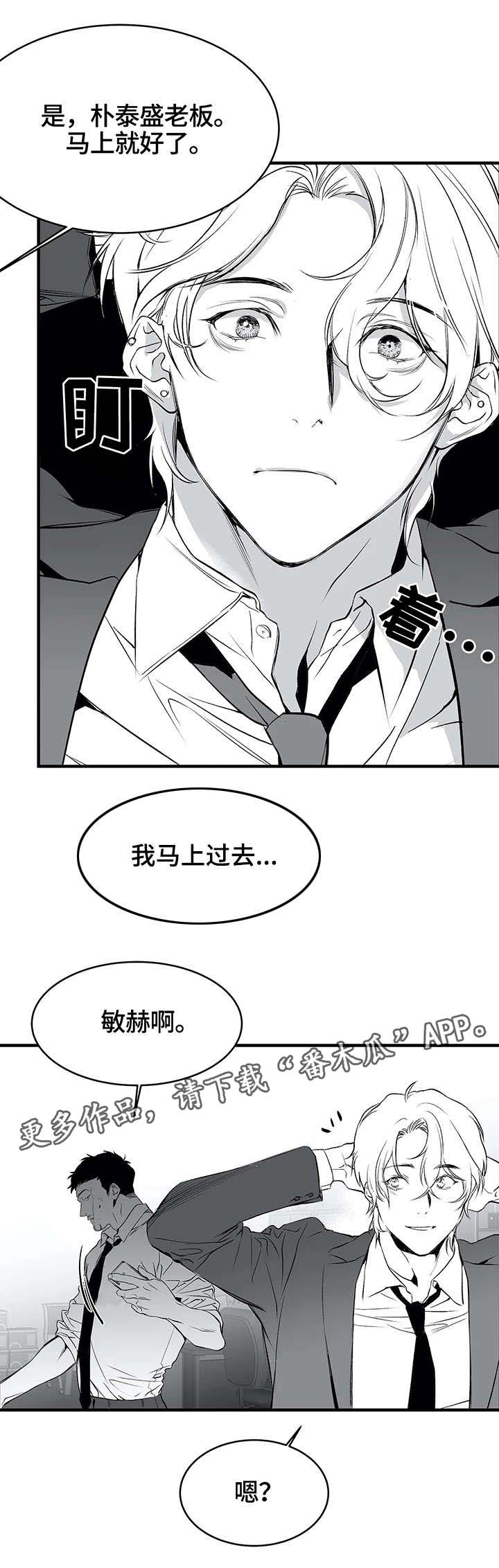 【拳击手】漫画-（第9章新人）章节漫画下拉式图片-10.jpg