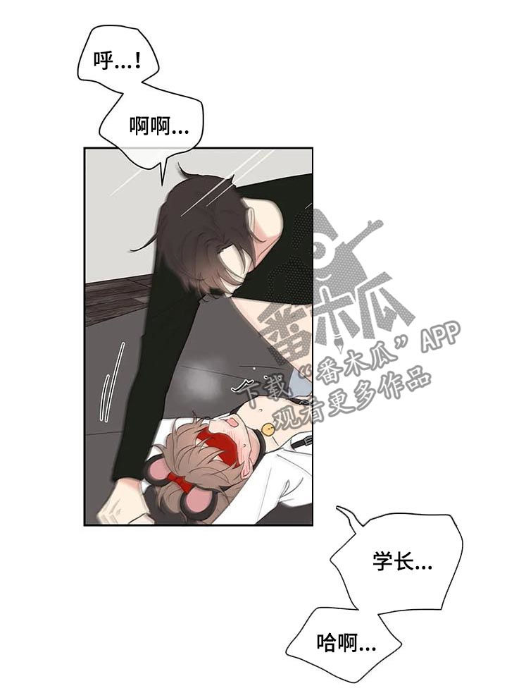 【学院代表】漫画-（第66章期待一次）章节漫画下拉式图片-第12张图片