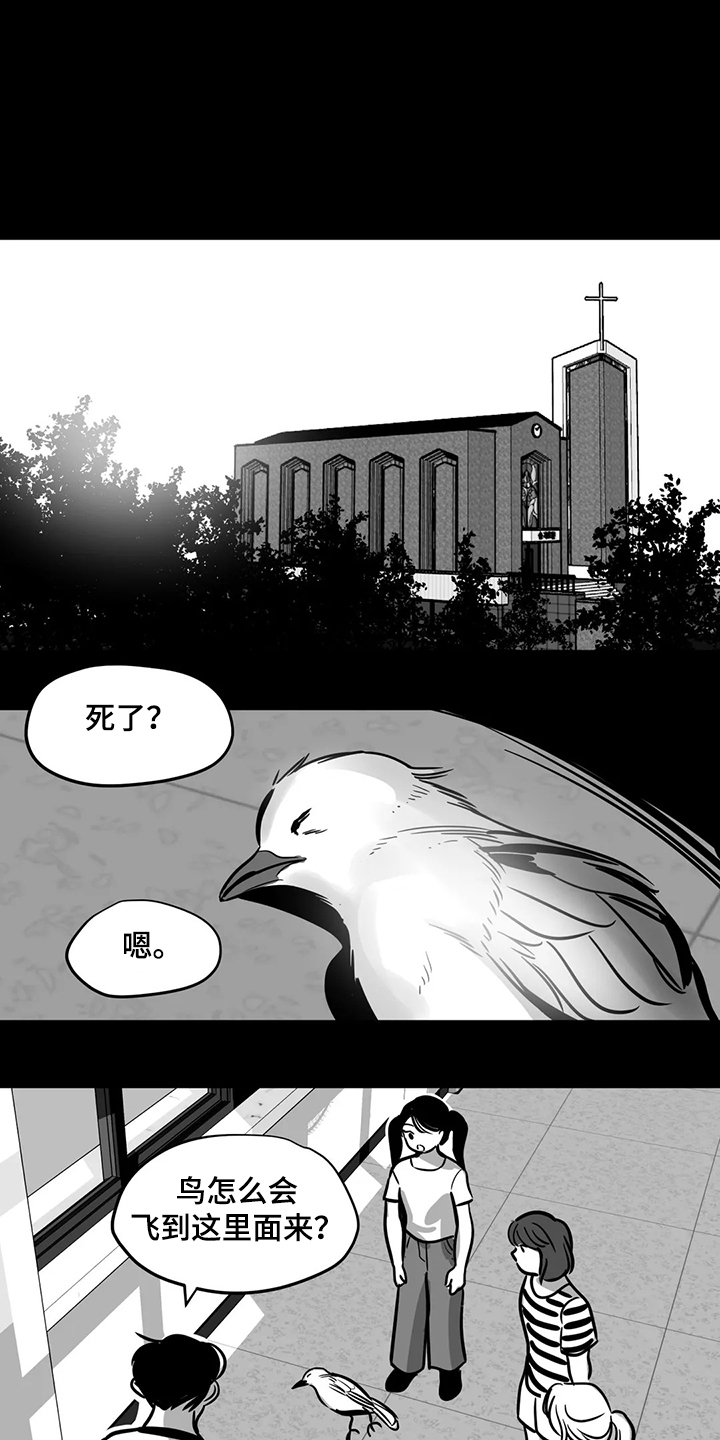 【鸠占鹊巢】漫画-（第65章【第二季】撞死的鸟）章节漫画下拉式图片-第1张图片