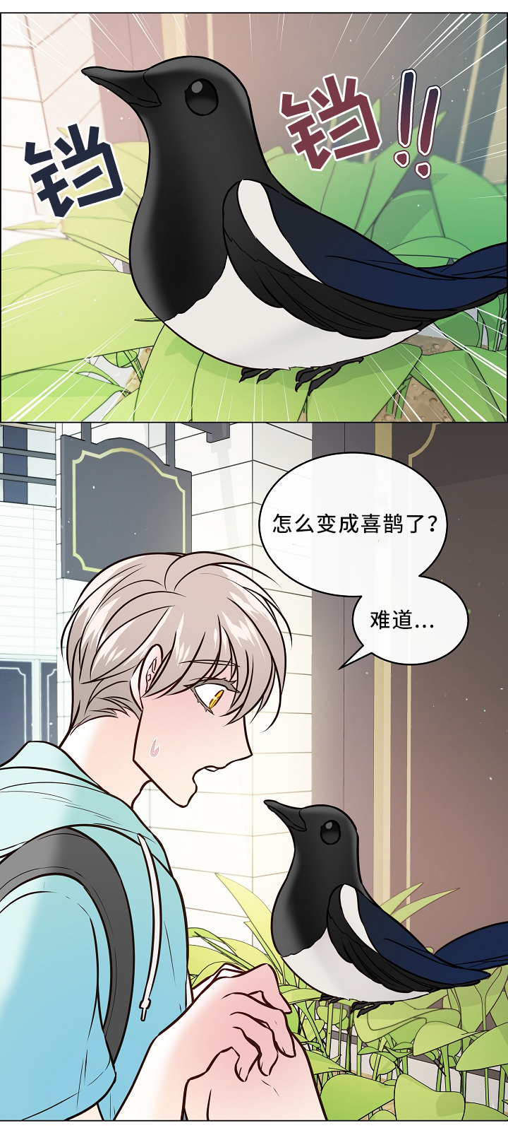 【单身税】漫画-（第43章喜鹊的秘密）章节漫画下拉式图片-第1张图片