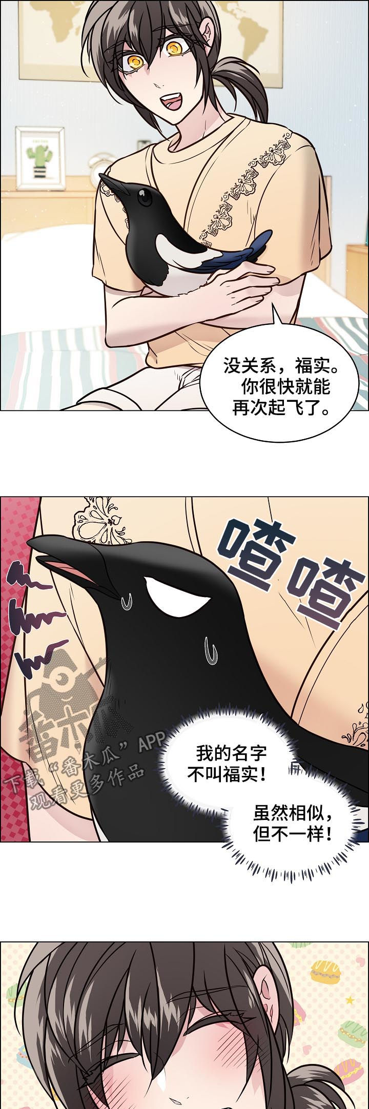 【单身税】漫画-（第69章安稳）章节漫画下拉式图片-第3张图片